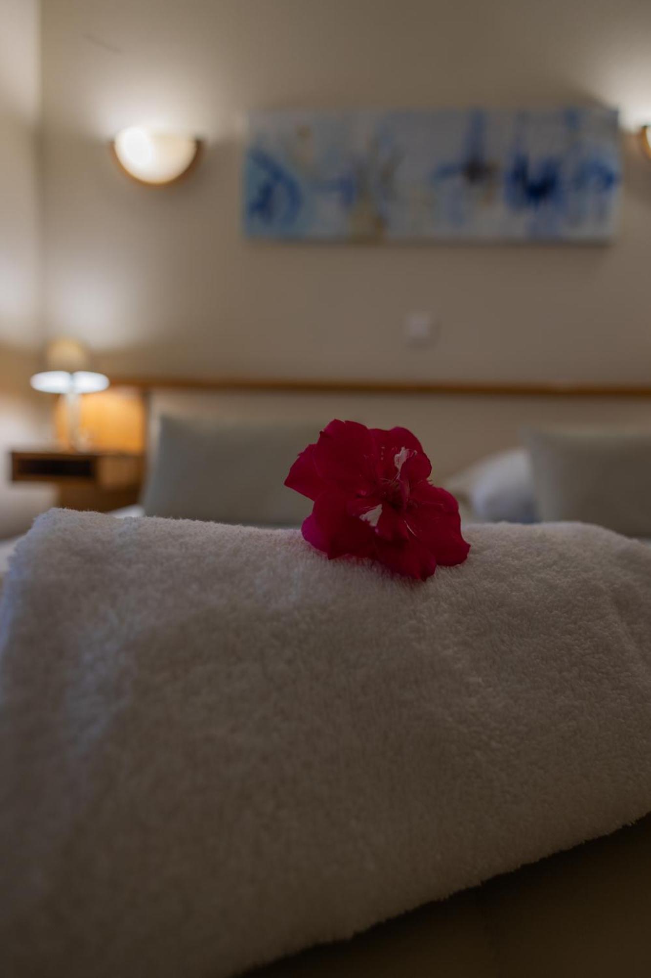 Logis Des Cretes De Pignols Hotel Moissac Ngoại thất bức ảnh